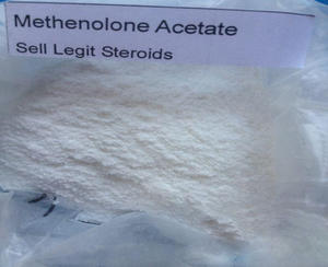 Hormone Enhancement Primobolone Methenolone Acetate